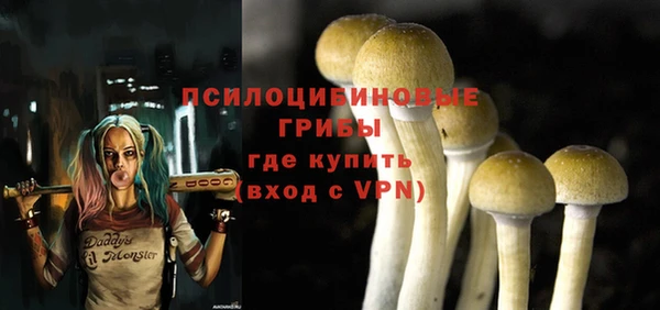 мдпв Богородицк