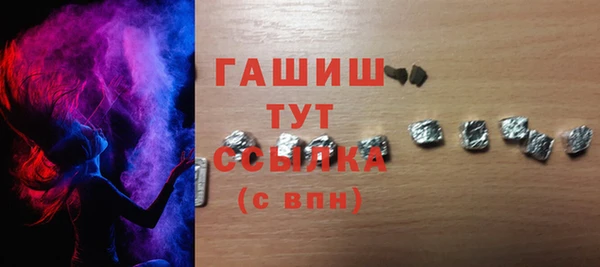 прущие грибы Рославль