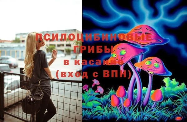 мдпв Богородицк