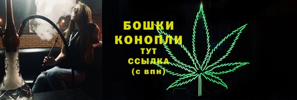 дживик Богородск