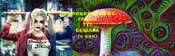 стаф Белоозёрский