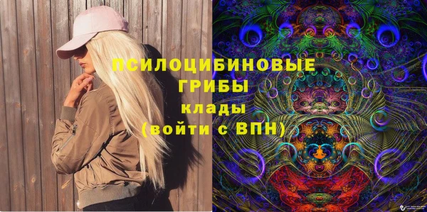 apvp Балахна
