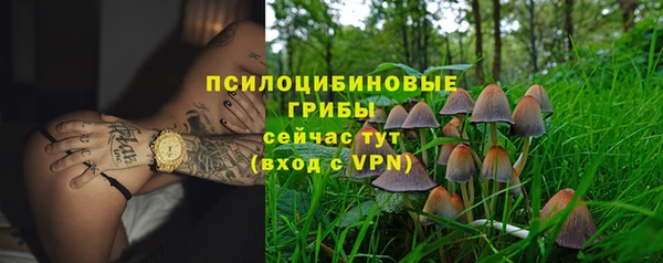 спайс Богданович