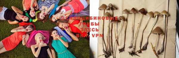 дживик Богородск