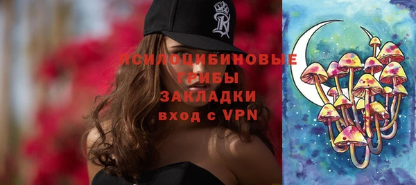 мдпв Богородицк
